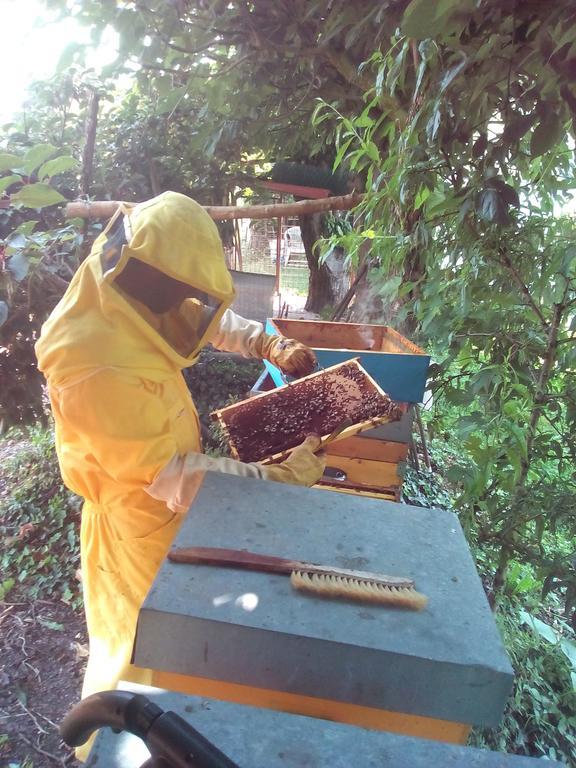 Corte Canale Virgilio Volta Mantovana Ngoại thất bức ảnh
